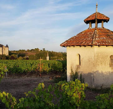 Venez découvrir les vignobles du Val de Loire